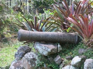 Nevis