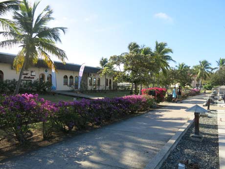 BVI