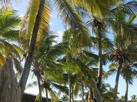 BVI