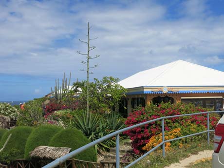 BVI