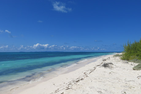 BVI