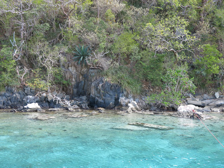BVI