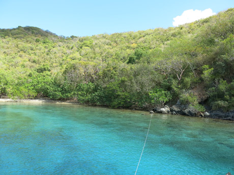 BVI