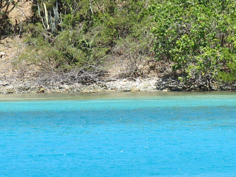 BVI