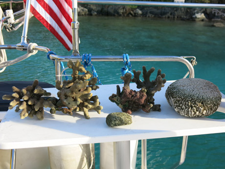 BVI