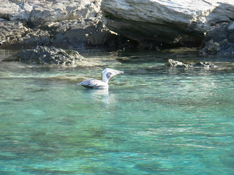 BVI