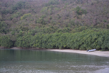 BVI