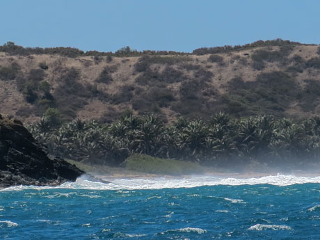 BVI